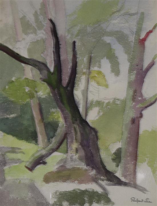 Rupert Lee Study of trees 29 x 22.5cm, unframed